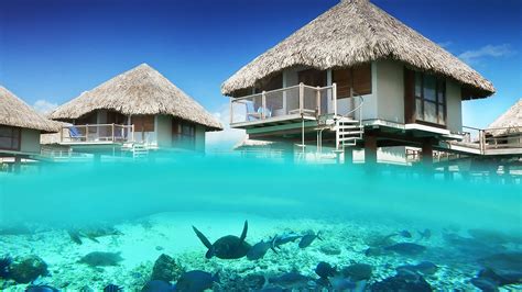 Bora Bora Pearl Beach Resort & Spa