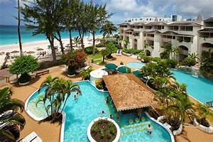 Bougainvillea Barbados