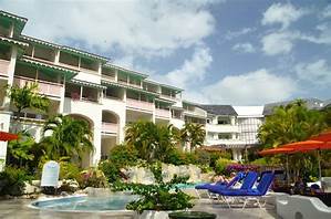 Bougainvillea Barbados