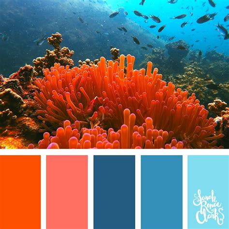 Ocean Coral & Turquesa