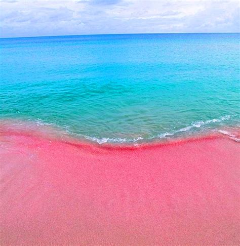 Pink Sands Resort