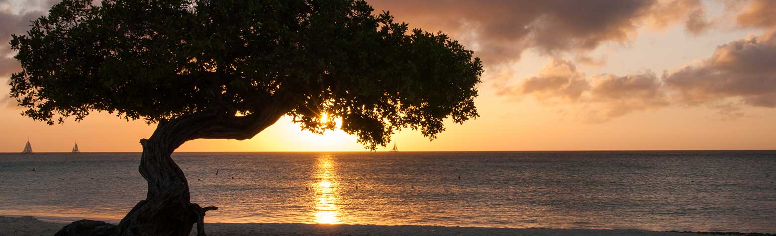 image of Eagle Beach Destination Wedding Locations