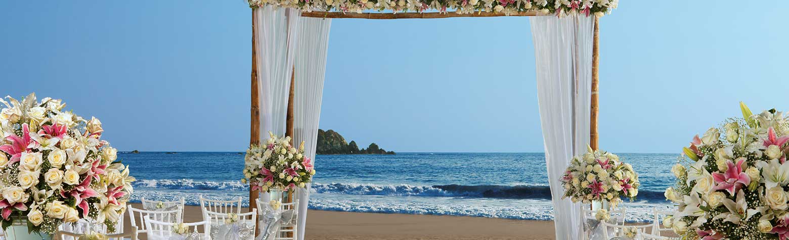 image of Ixtapa Mexico Destination Wedding Locations