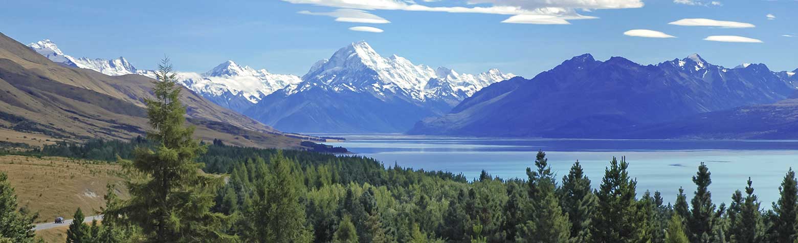 image of Christchurch Destination Wedding Locations